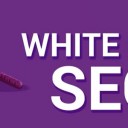 Social Media Marketing Services in Jaipur