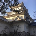 大垣城にいきお寿司食べてきました