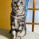 私の子どもになってくれてありがとうの9年目