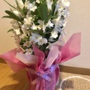 この5日の間に。。