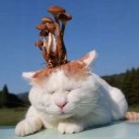 １７さい・・・だったっけ・・・