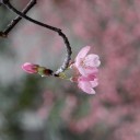 驚いた
