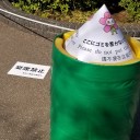 　無性に