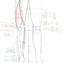 マッスルアンストッパブル