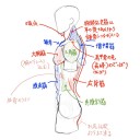 ジャイアント武蔵