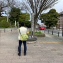 ゆっくり、のんびり東海道