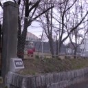 水道公園周辺の桜