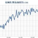（ナーンタケットの夜の鳥あえ図）