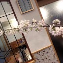 今年の桜
