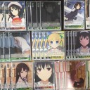 ヴァイスシュヴァルツ　冴えカノ