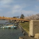 サクラ　サイタ！