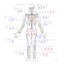 レウウィス