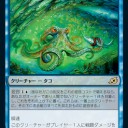このタコはやる子