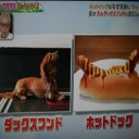ホットドックの由来