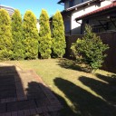 草むしり