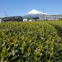 おめでとう！×おめでとう！