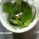 「にょり」初公開