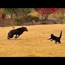 きほんは・・・・
