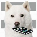 じゅうすうねんまえ・・・