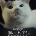 １７さい・・・・