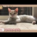 かわいい・・・