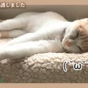 かわいい・・・