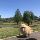 ゴールデンウィーク
