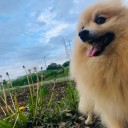 ゴールデンウィーク