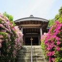 諸々の話（5/5）