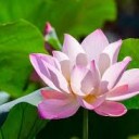 だまさ・・・・・