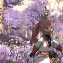 FF14再開