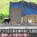 さすが・・・・・