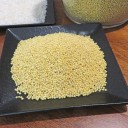 きび団子①･･黍団子≠吉備団子