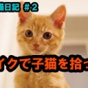 うに・いくら・・・