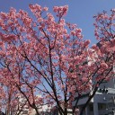 病院+αの一日