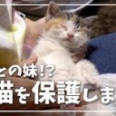 かわいい・・・・
