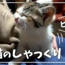 かわいい・・・・