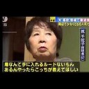 にてる・・・・