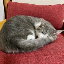 窓を開けたら寒い日