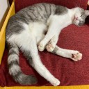 窓を開けたら寒い日