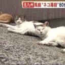 ひょうざんのいっかく・・・・