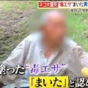 ひょうざんのいっかく・・・・