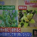 榊ビジネス