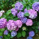 きょうは・・・・