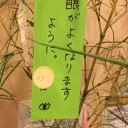 七夕