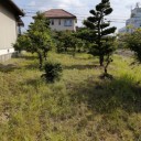 我が家の畑！大草原模様