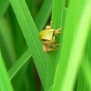 このあいだまで・・・