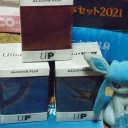 《イーブイGX/Eevee GX》