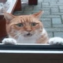 ふりまわされて・・・・