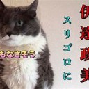 おもしろい・・・・